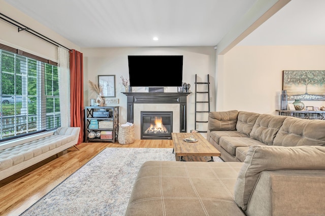 living room with wood finished floors, a fireplace, and recessed lighting