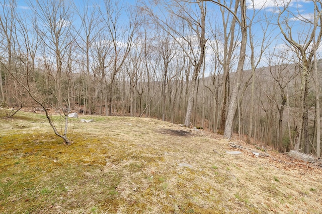 190 Thoreau Dr, Shelton, CT 06484 - view of landscape featuring a forest view
