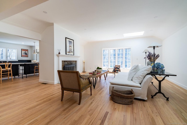 interior space featuring a fireplace, a healthy amount of sunlight, light wood finished floors, and a skylight