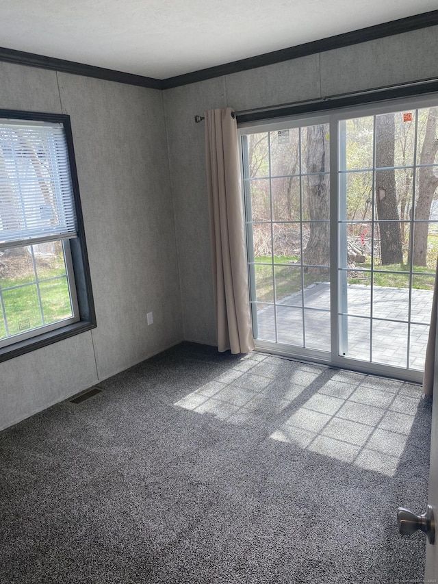 carpeted empty room with visible vents