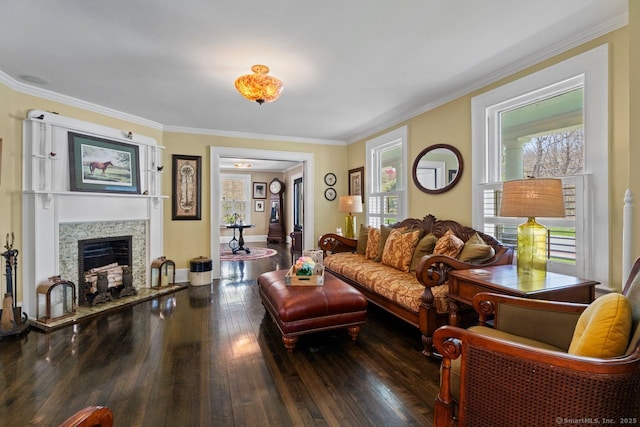 101 N Main St, Essex, CT 06426 - living area featuring a fireplace with raised hearth, ornamental molding, and wood-type flooring