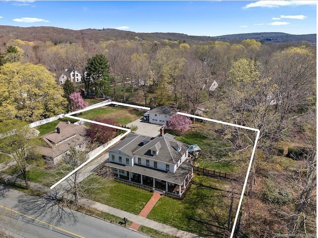 101 N Main St, Essex, CT 06426 - drone / aerial view with a view of trees