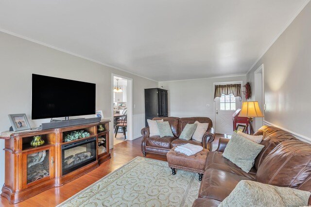 living area featuring crown molding, wood finished floors, and a wainscoted wall