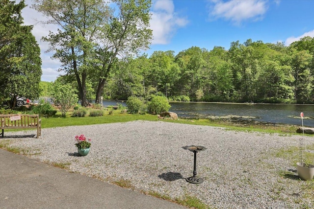 538 Winthrop Rd Unit 5, Deep River, CT 06417 - view of community featuring a water view and a forest view