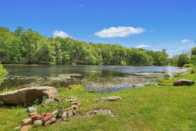 538 Winthrop Rd Unit 5, Deep River, CT 06417 - water view with a heavily wooded area