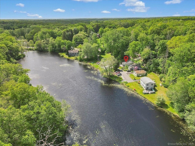 538 Winthrop Rd Unit 5, Deep River, CT 06417 - bird's eye view of a forest and a large body of water
