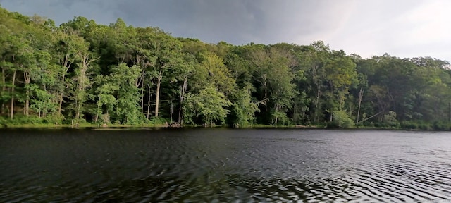 538 Winthrop Rd Unit 5, Deep River, CT 06417 - water view with a heavily wooded area