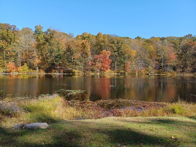 538 Winthrop Rd Unit 5, Deep River, CT 06417 - water view with a forest
