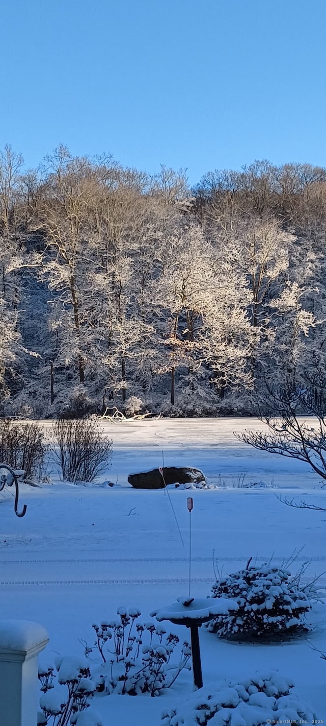 538 Winthrop Rd Unit 5, Deep River, CT 06417 - view of yard layered in snow