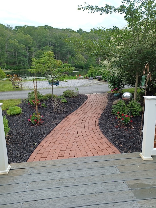 538 Winthrop Rd Unit 5, Deep River, CT 06417 - view of property's community featuring a water view and a forest view