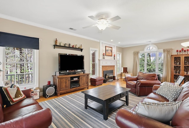 living room featuring visible vents, crown molding, a fireplace, light wood-type flooring, and a ceiling fan