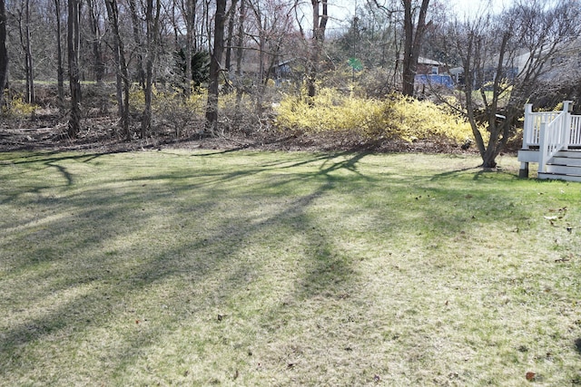 view of yard featuring a wooden deck