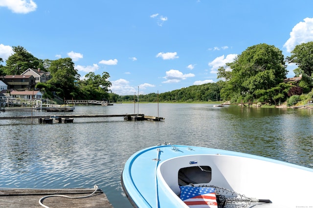 dock area with a water view