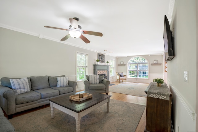 living area featuring crown molding, ceiling fan, wood finished floors, and a fireplace