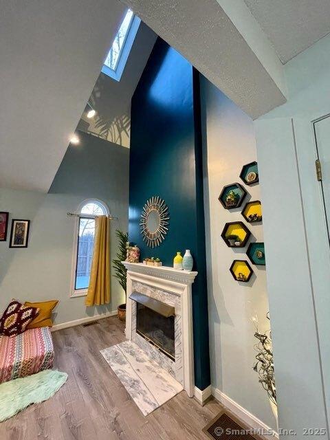 190 Main St Apt D, Manchester, CT 06042 - wine cellar featuring a skylight, a high end fireplace, wood finished floors, baseboards, and a high ceiling