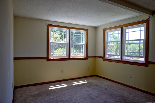 899 Branch Rd, Suffield, CT 06078 - photo 28