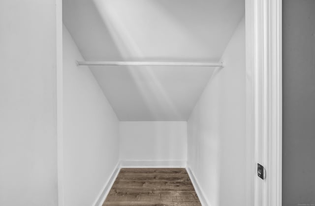 walk in closet featuring lofted ceiling and dark wood-type flooring