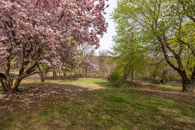 view of yard featuring fence