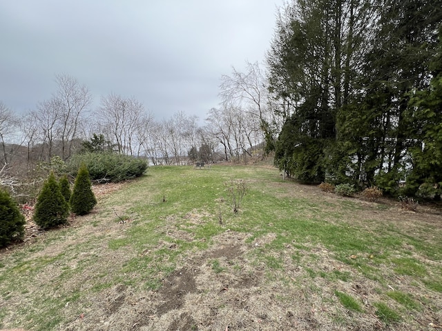 21-23 Elm St, Derby, CT 06418 - view of yard