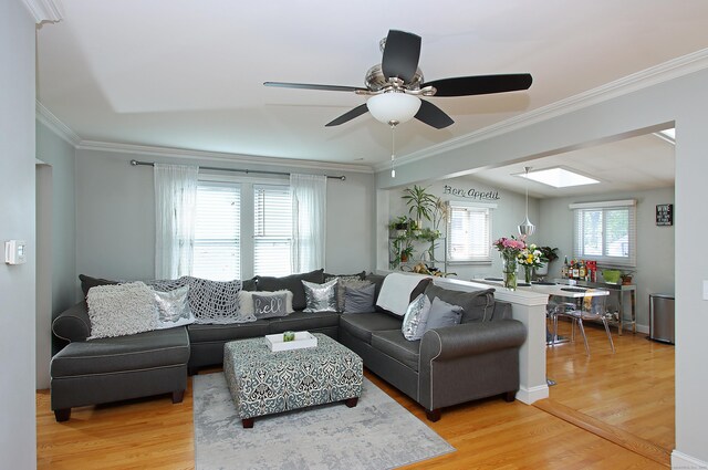 living room featuring crown molding, ceiling fan, and light wood-type flooring
