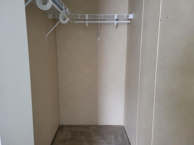 spacious closet with carpet floors