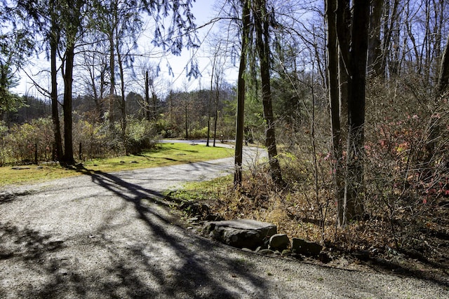 538 County Rd, Guilford, CT 06437 - view of street featuring a wooded view