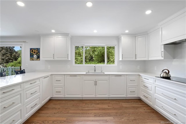 41 Hermit Ln, Westport, CT 06880 - kitchen with light countertops, black electric cooktop, white cabinetry, under cabinet range hood, and a sink