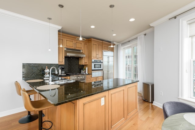 85 Memorial Rd Apt 414, West Hartford, CT 06107 - kitchen with under cabinet range hood, backsplash, light wood-type flooring, baseboards, and appliances with stainless steel finishes