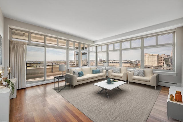 living area featuring wood finished floors and a baseboard radiator