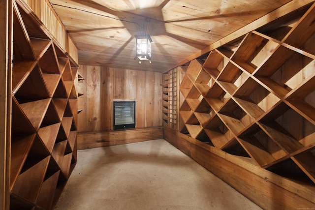 wine cellar featuring wooden walls and concrete flooring