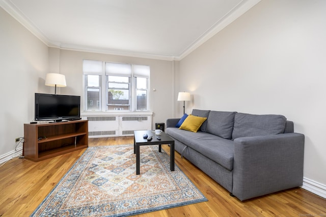 70 Strawberry Hill Ave Apt 3-2A, Stamford, CT 06902 - living area featuring crown molding, wood finished floors, and radiator