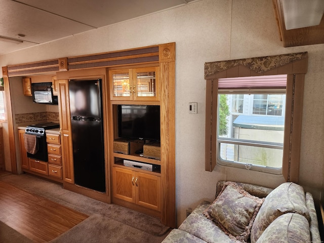 view of carpeted living area