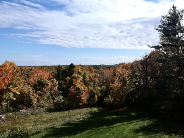 205 Arch Bridge Rd, Bethlehem, CT 06751 - view of grassy yard featuring a view of trees