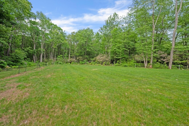 54 Edgerton Rd, Granby, CT 06090 - view of grassy yard featuring a wooded view