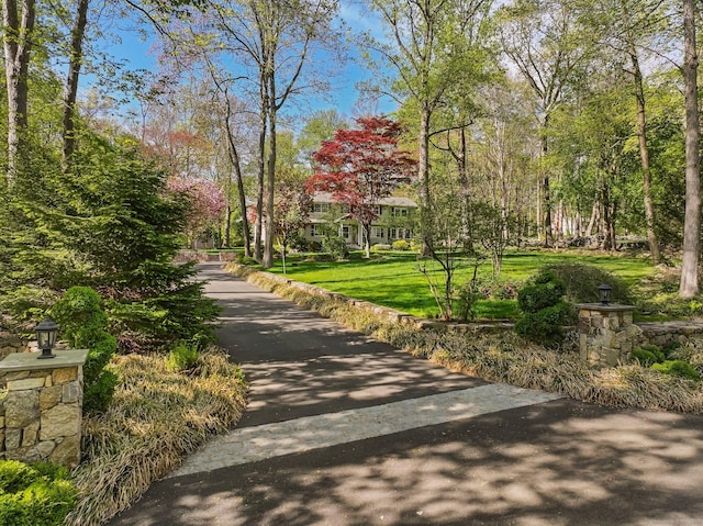 44 Buckingham Ridge Rd, Wilton, CT 06897 - view of property's community with a yard