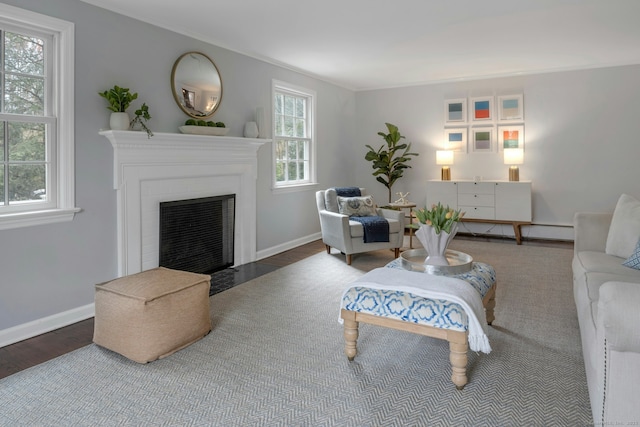 living room with a fireplace with flush hearth, wood finished floors, baseboards, and ornamental molding