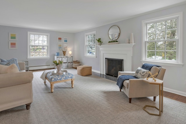 living area featuring a fireplace with flush hearth, plenty of natural light, wood finished floors, and a baseboard heating unit
