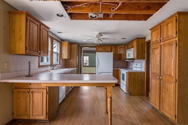 kitchen with a sink, light wood-type flooring, white appliances, ceiling fan, and light countertops