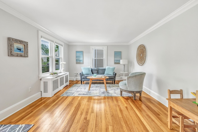 435 Lenox Rd, Fairfield, CT 06825 - living area featuring light wood-type flooring, radiator heating unit, ornamental molding, and baseboards