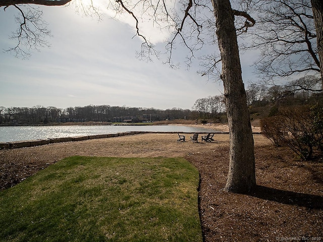 view of yard with a water view