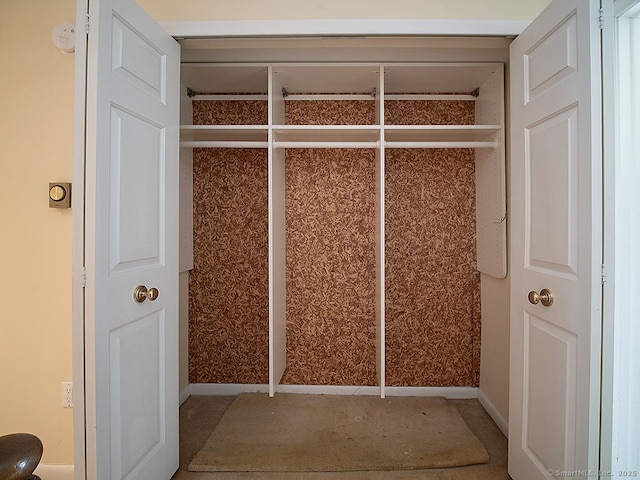 mudroom with carpet floors