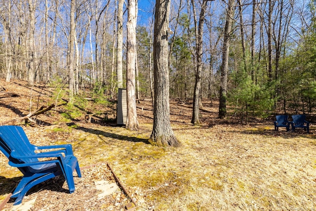 206 New Rd, Avon, CT 06001 - view of yard