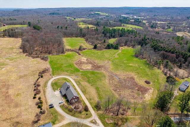 drone / aerial view