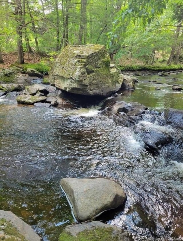 view of local wilderness with a forest view