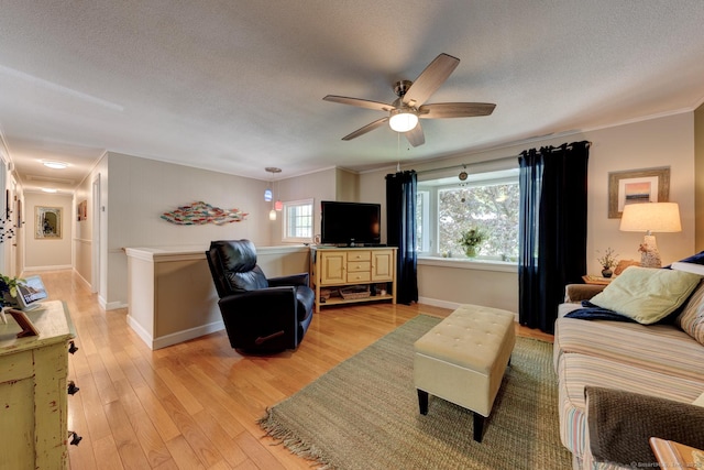 531 Oxbow Dr, Torrington, CT 06790 - living area featuring ceiling fan, light wood finished floors, crown molding, baseboards, and a textured ceiling