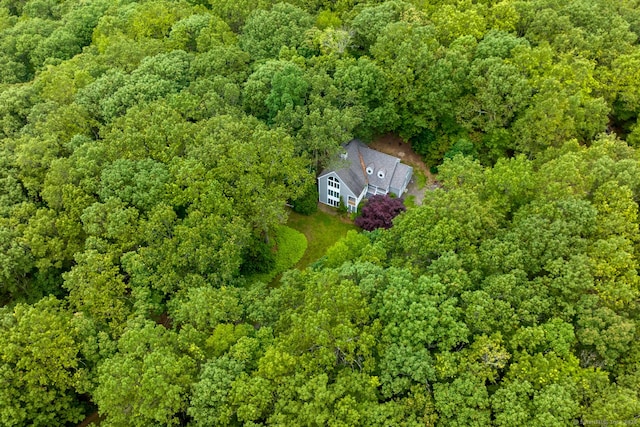615 Jackson St, Thomaston, CT 06787 - aerial view of property and surrounding area featuring a heavily wooded area