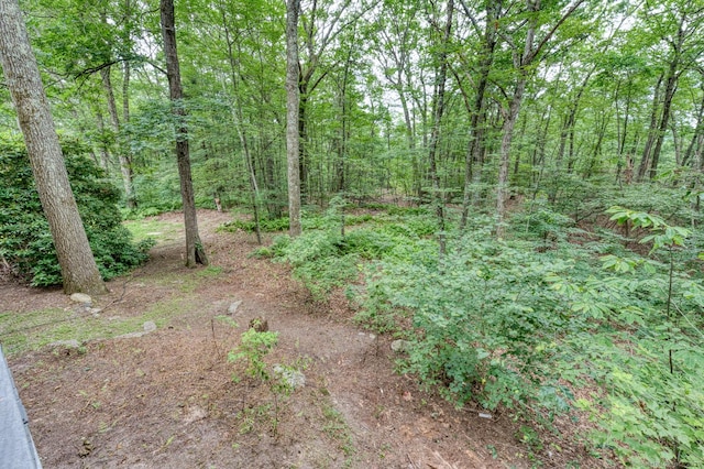 615 Jackson St, Thomaston, CT 06787 - view of wooded area