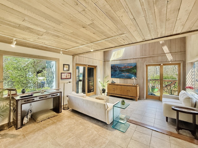 1177 Rock Rimmon Rd, Stamford, CT 06903 - living room with wood walls, a wealth of natural light, track lighting, and wooden ceiling