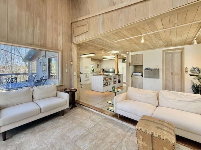 1177 Rock Rimmon Rd, Stamford, CT 06903 - living area with track lighting, wooden walls, and wooden ceiling