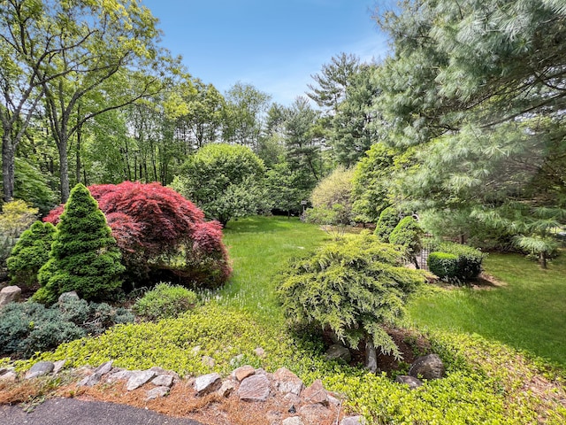 1177 Rock Rimmon Rd, Stamford, CT 06903 - view of yard